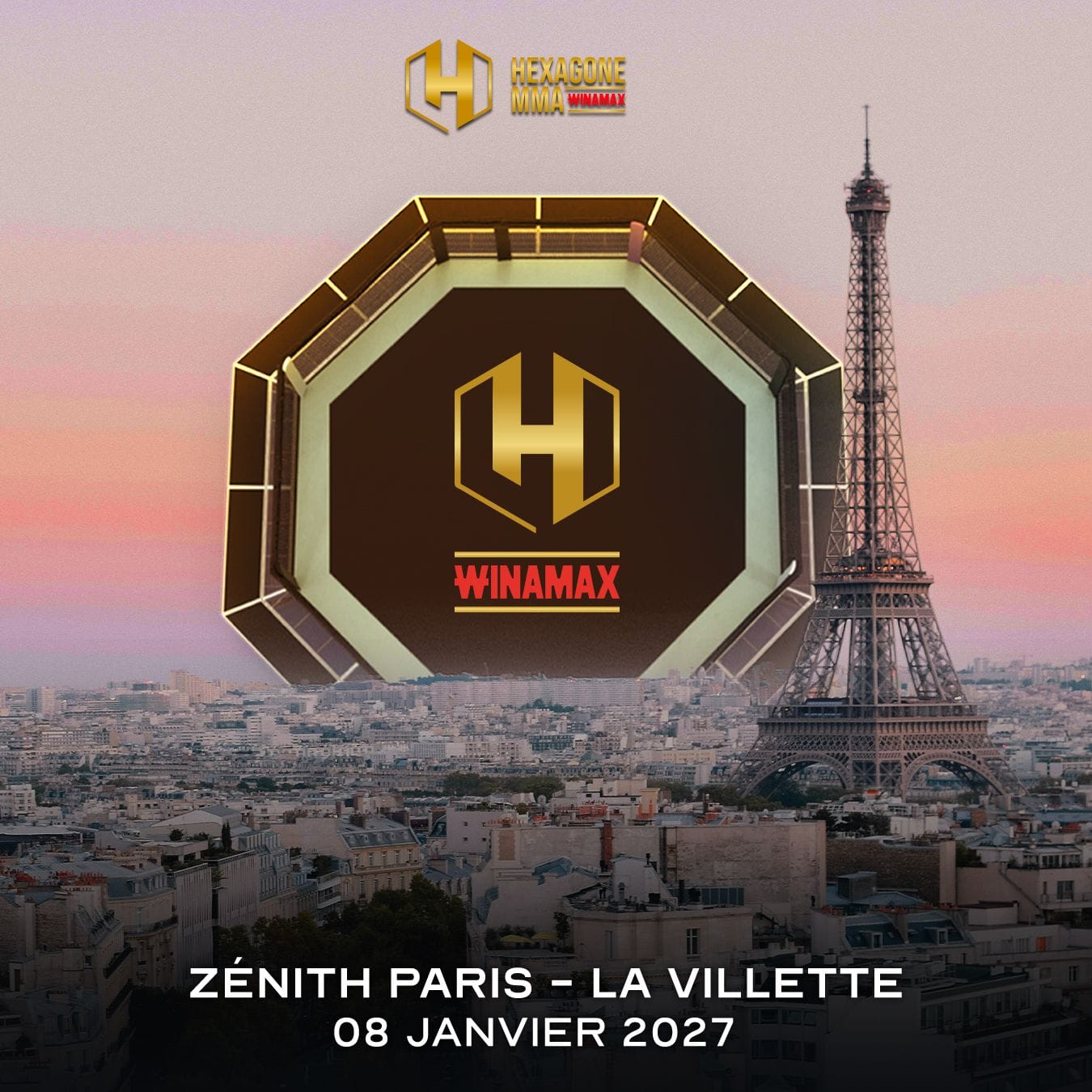 HEXAGONE MMA x copie